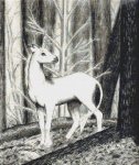 (image for) Forest Unicorn